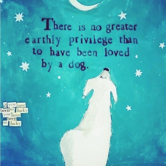 Meet your Posher, Kristin - Picture 8 of 14